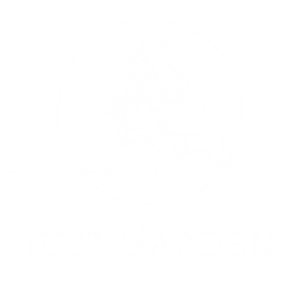 diseño sin título